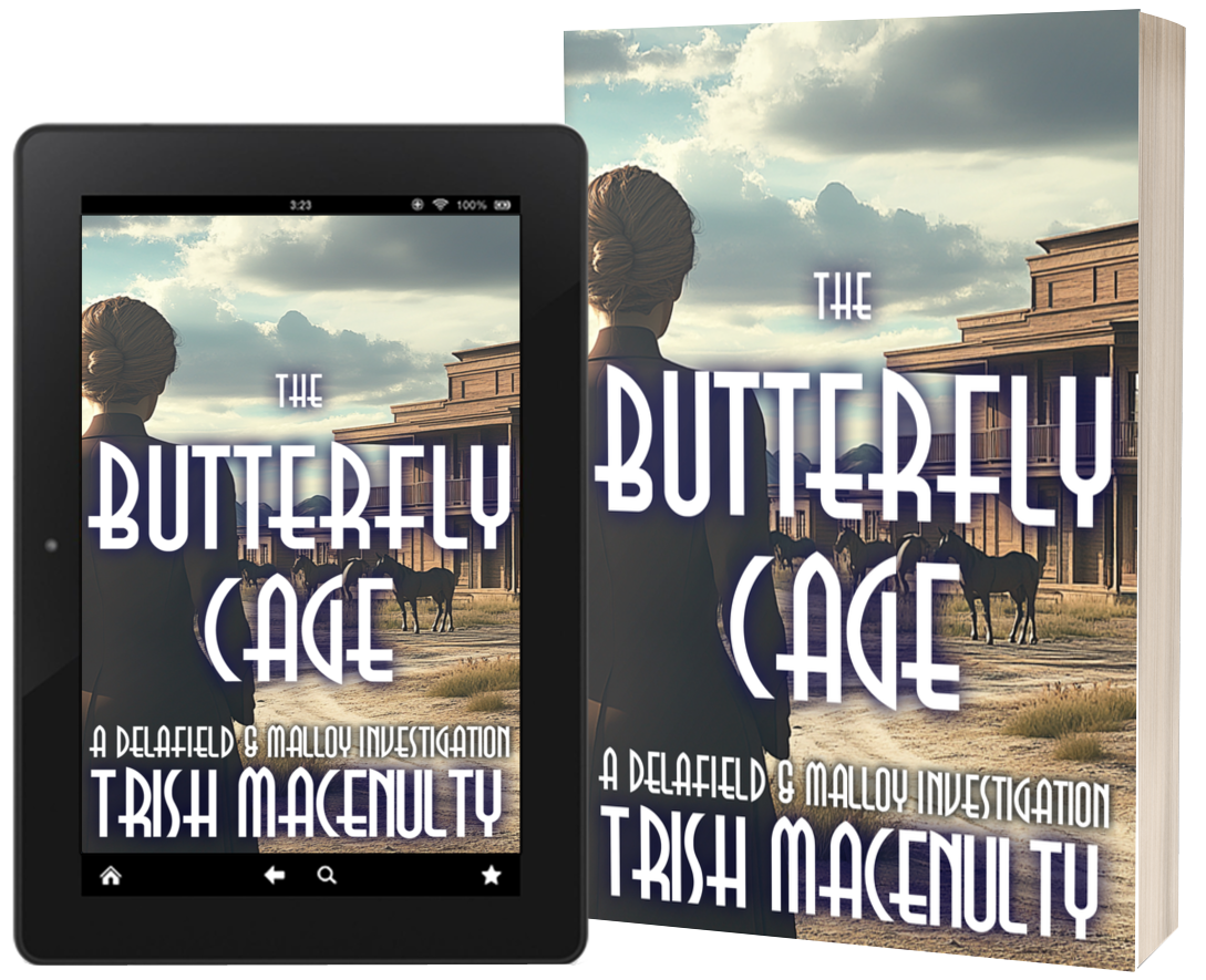 butterfly 2format09 AC